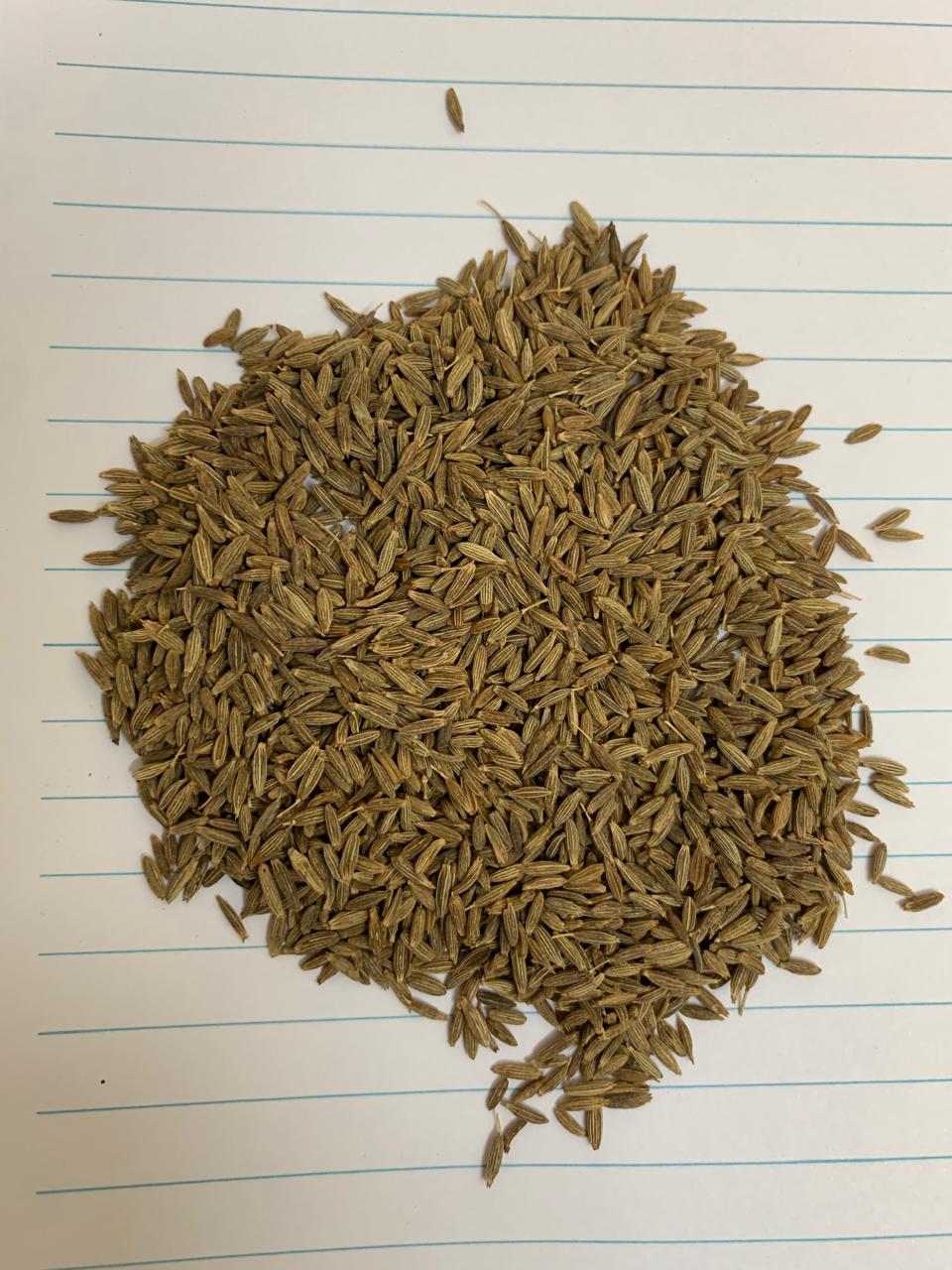 Cumin